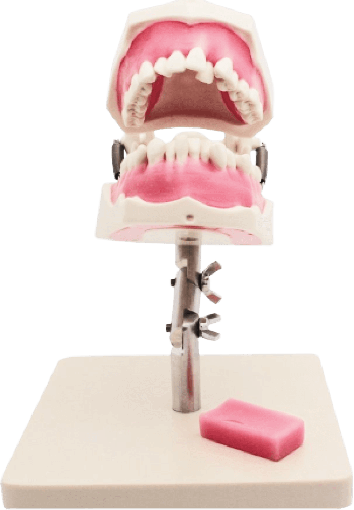 Мануальные навыки ортодонта