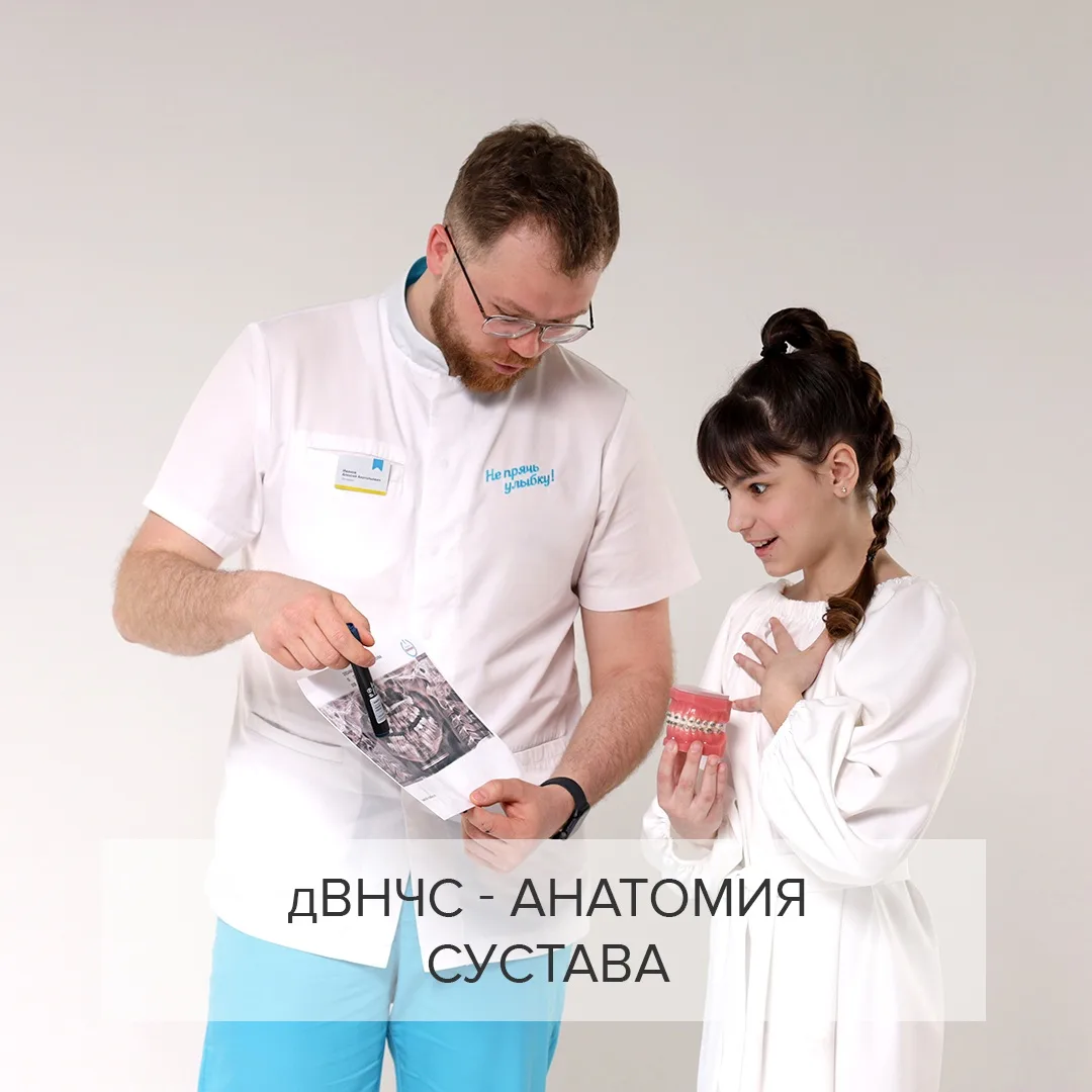 ВНЧС. Анатомия сустава.