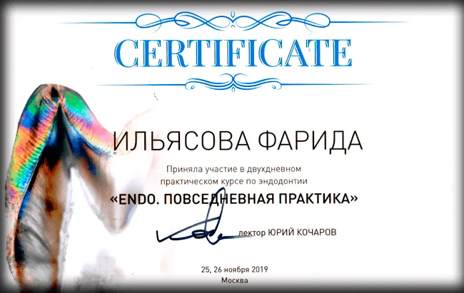 Сертификат 4