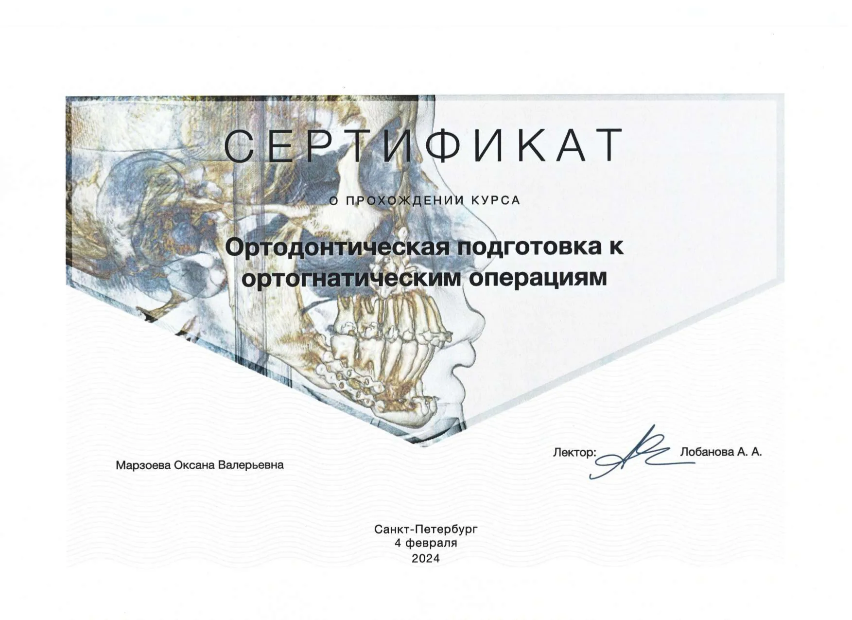 Сертификат 6