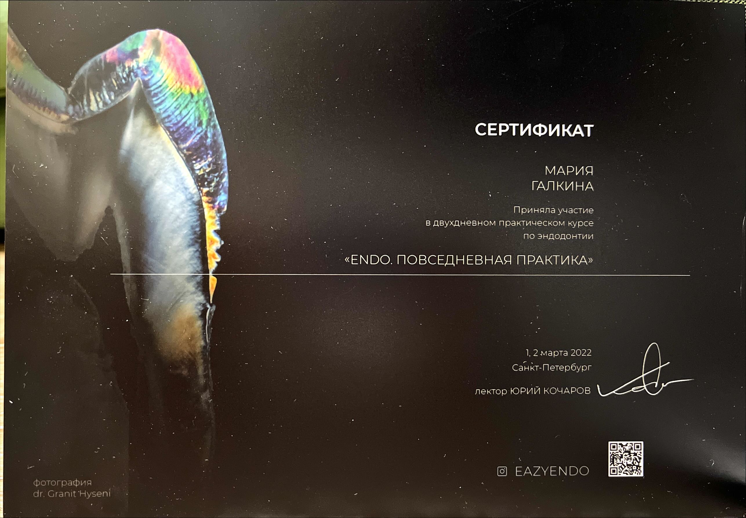 Сертификат 5