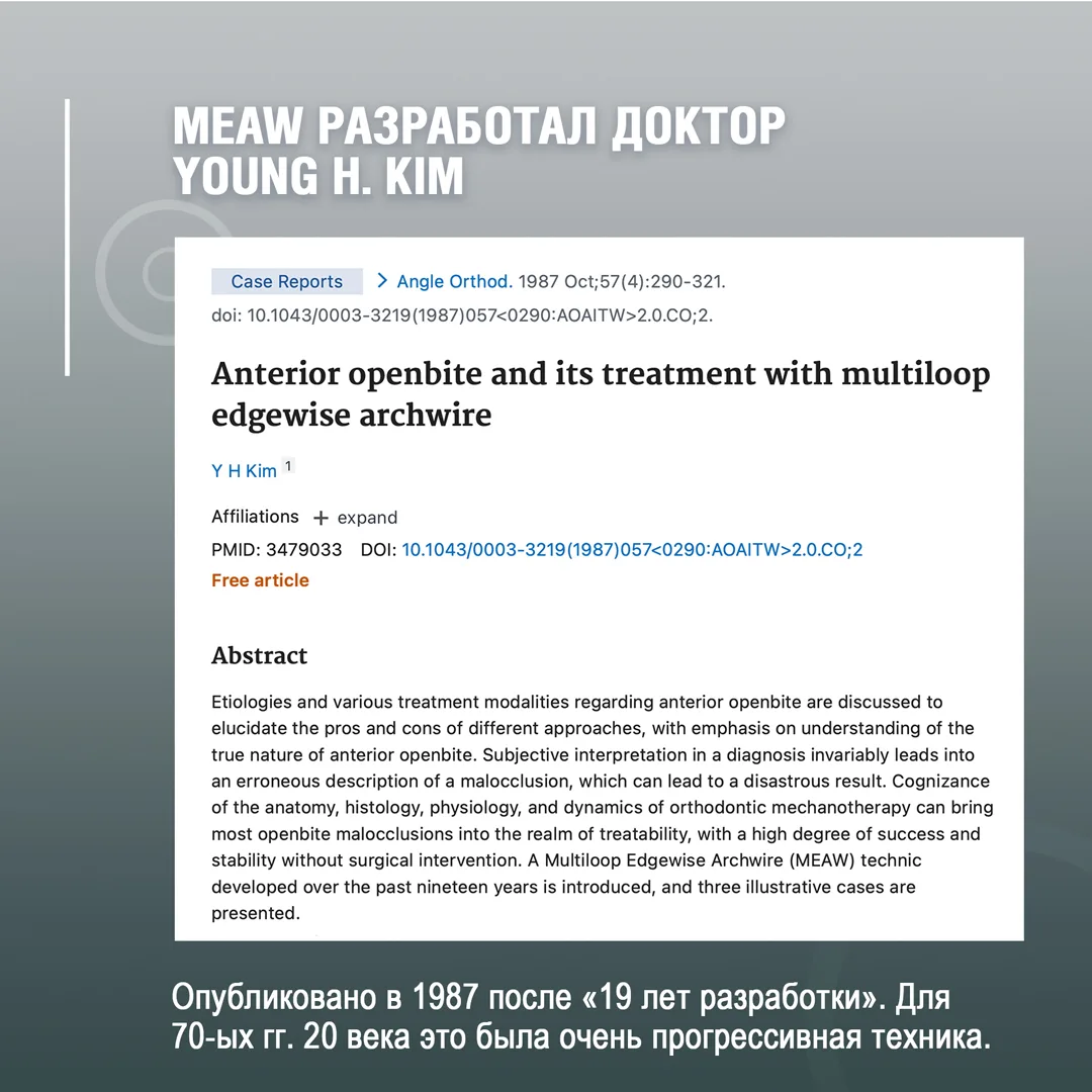 MEAW разработал доктор Young H. Kim
