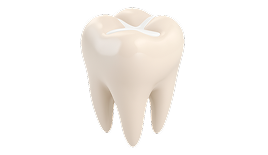 Консультация с составлением плана лечения