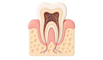 Профессиональная гигиена зубов