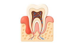 Профессиональная гигиена зубов