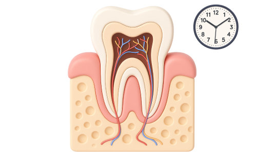 Профессиональная гигиена зубов