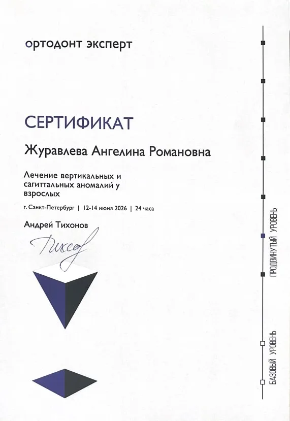 Сертификат 2